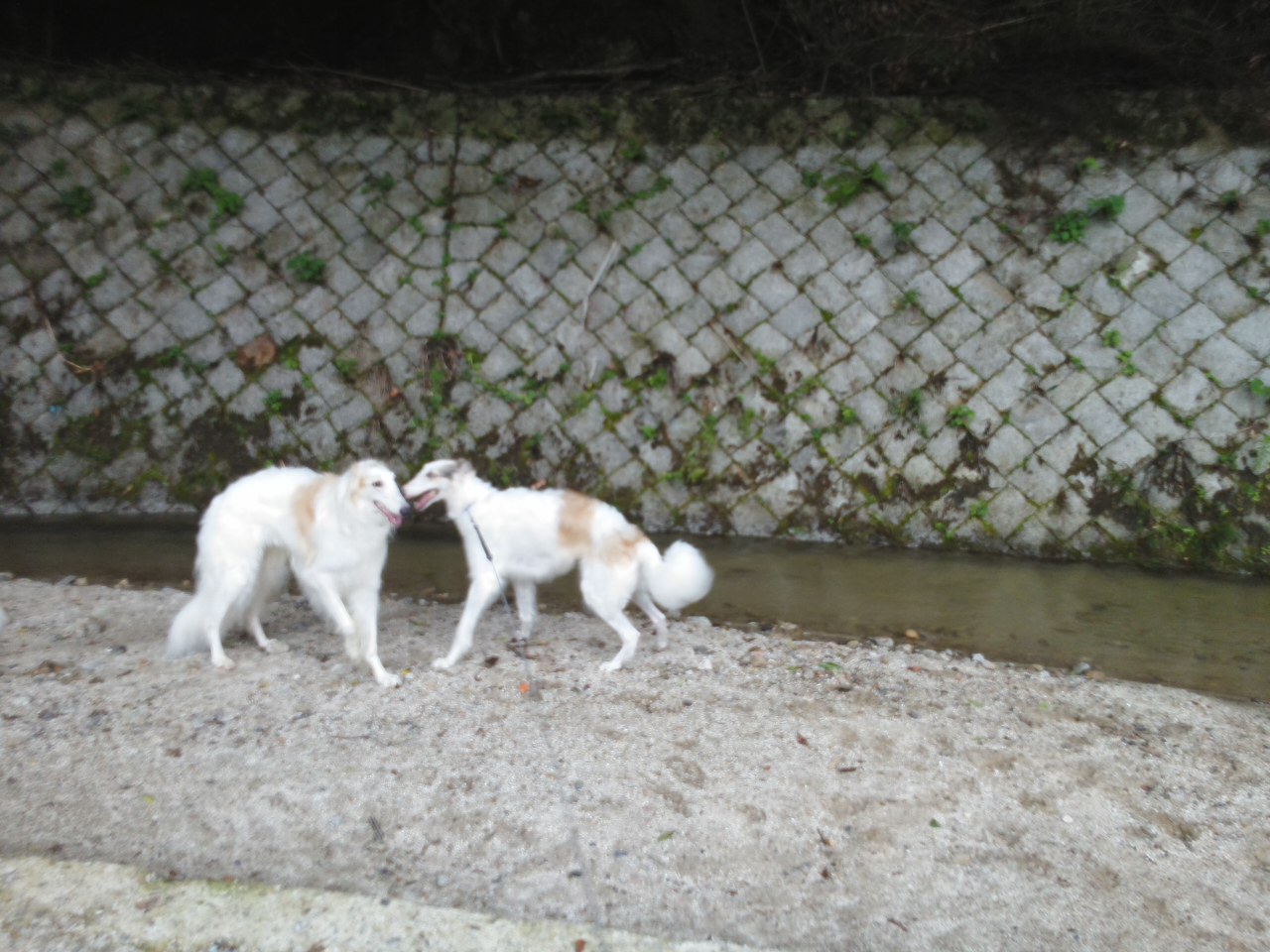 08.jpg