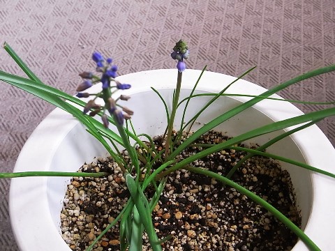 130501a.jpg