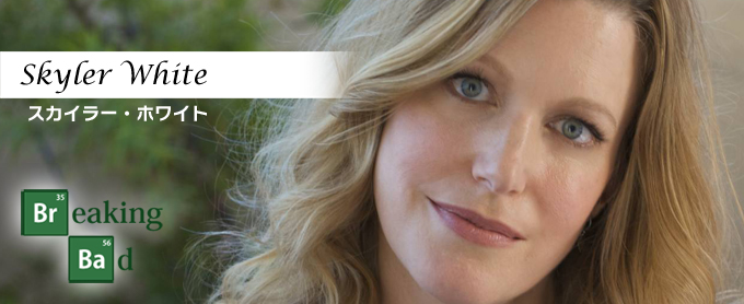 ブレイキング バッド スカイラー ホワイトの全て ドラマ アイテム をくらべてためす くらべる戦隊タメスンジャー