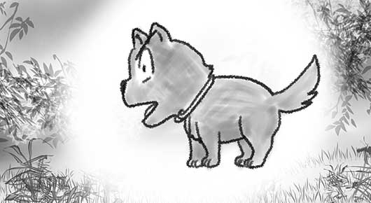 ran_kibo_530.jpg