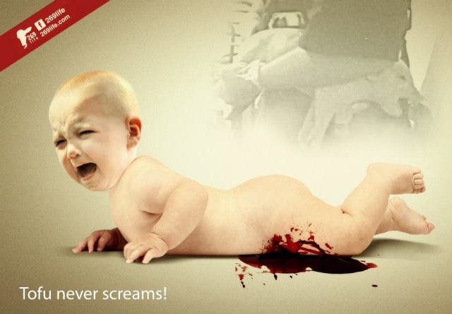 子豚　去勢　赤ちゃん