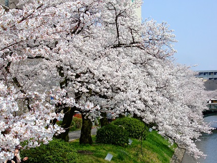 noppblog20140408_003
