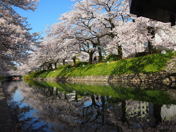 noppblog20140412_000