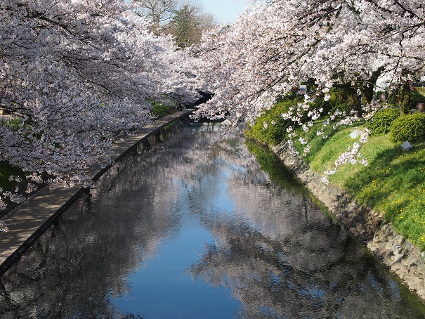 noppblog20140412_001