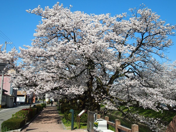 noppblog20140412_002