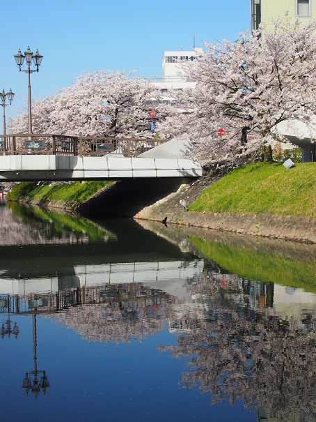 noppblog20140412_004