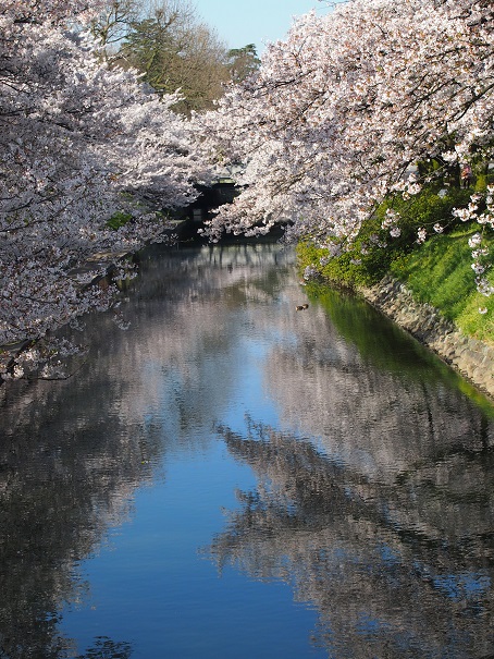 noppblog20140412_005