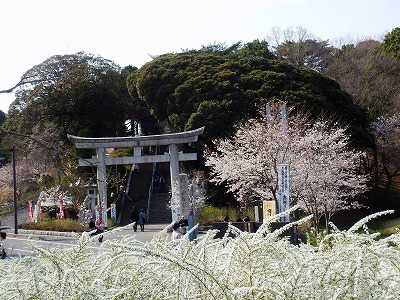 P4020002.jpg