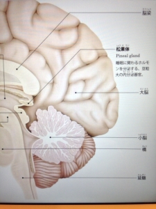 20140319180941f31.jpg