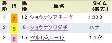 ニュージーランドＴ