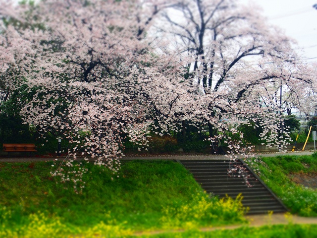 P3310417.jpg
