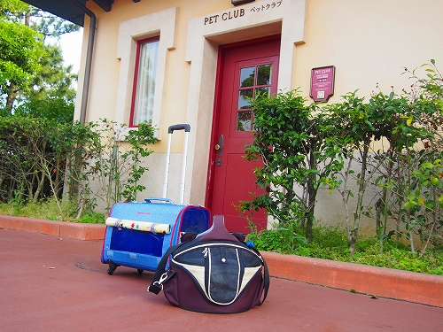 P5290173.jpg
