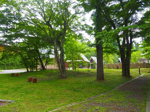P5310540.jpg