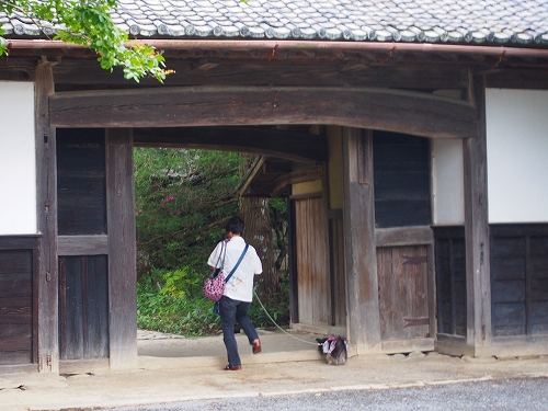 P5310573.jpg