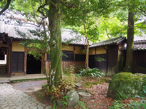P5310576.jpg