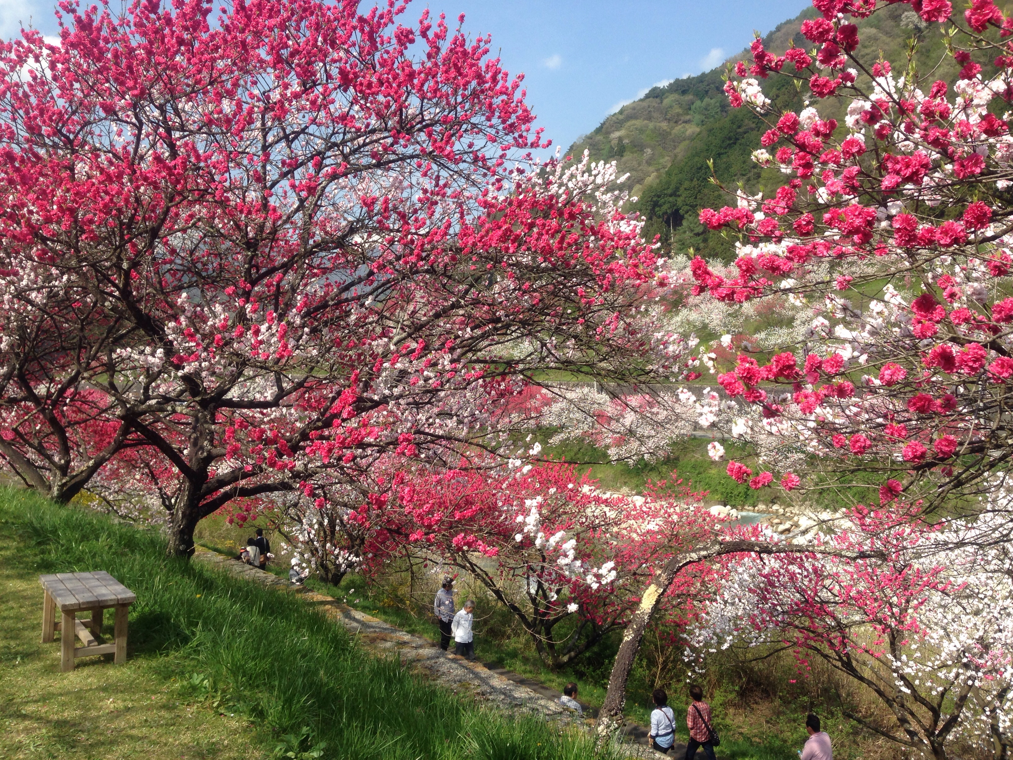 fc2blog_20150430210454e8b.jpg