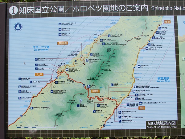 初夏の知床を散策