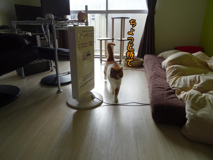MOOQE14zg56wwXW1425844417_1425844492.jpg