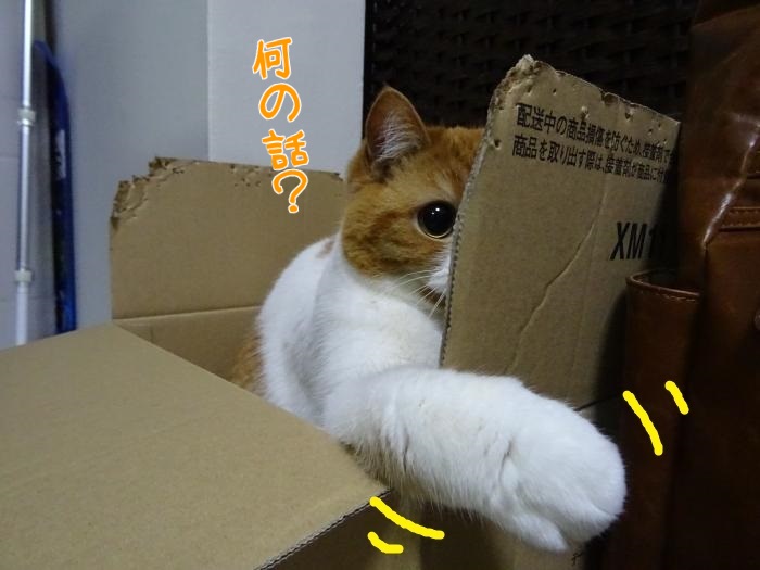 o93Lur6hpYwHB_z1426800321_1426800416.jpg
