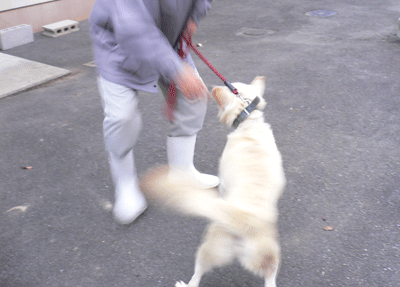 01114.gif