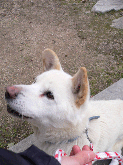 021245.gif