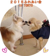 ふれあい会20150206-200