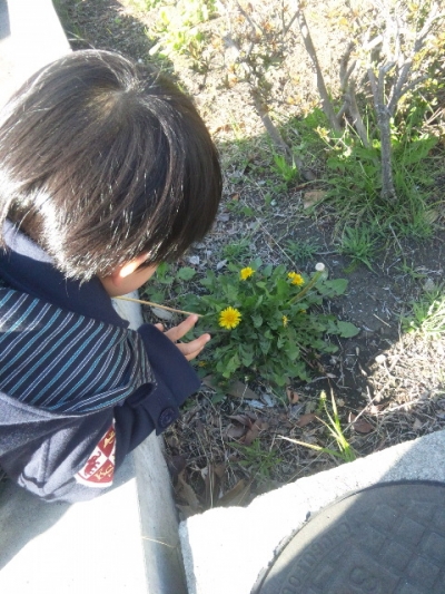 SBSH0827#1