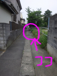 SBSH0052.jpg