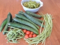 DSCN4600.jpg