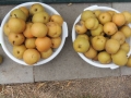 DSCN4617.jpg