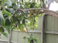 DSCN4618.jpg
