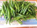 DSCN4633.jpg