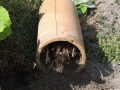 DSCN4638.jpg