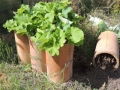 DSCN4639.jpg