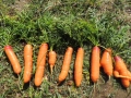 DSCN4642.jpg