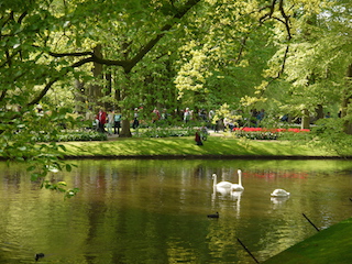 P1050451.jpg