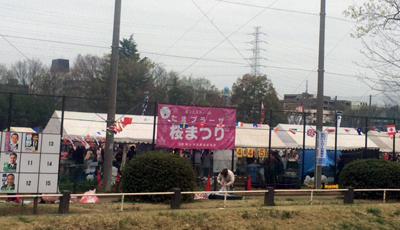 たまプラ桜まつり