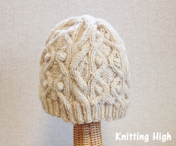 アラン模様のニット帽を編みました Knitting High 編み物中毒の日々