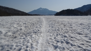 DSC00307.jpg