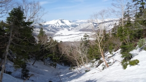 DSC00453.jpg
