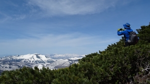 DSC00466.jpg