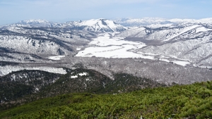 DSC00478.jpg