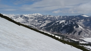 DSC00565.jpg