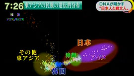 アジアの大陸の人は比較的分布がまとまるのに対し、日本人はそれと大きく違う範囲に分布していることが分かりました。