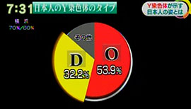 （２０１４年）１２月にまとめた研究結果です。それによると、日本人の半数は、中国や韓国で多数を占める「Ｏ」というタイプでしたが、それに次いで多かったのが「Ｄ」で、３割を占めていました。