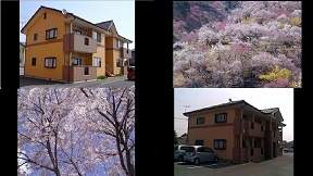 アパートフルール・スプリングバージョン