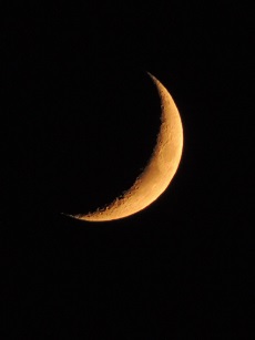 a0960_006802_m.jpg