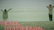 ★★アラシゴト★★　（ 嵐 ファン ブログ ）