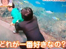 ★★アラシゴト★★　（ 嵐 ファン ブログ ）