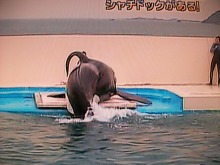 ★★アラシゴト★★　（ 嵐 ファン ブログ ）